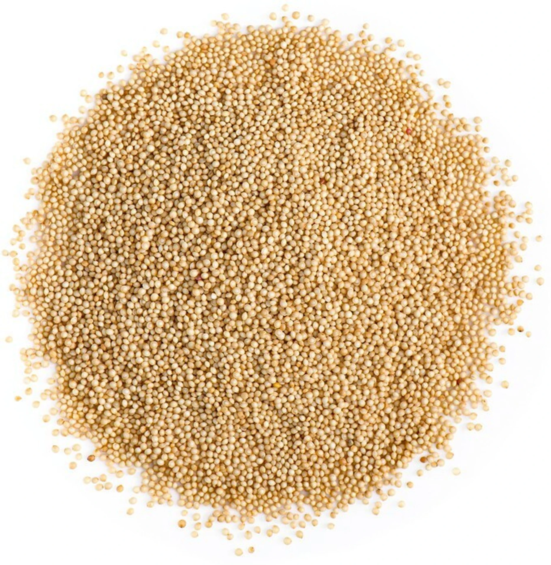 rajgira 500 g